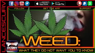 WEED: WHAT THEY DO NOT WANT YOU TO KNOW! | LANCESCURV