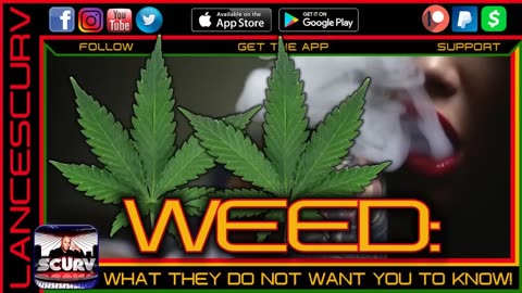 WEED: WHAT THEY DO NOT WANT YOU TO KNOW! | LANCESCURV