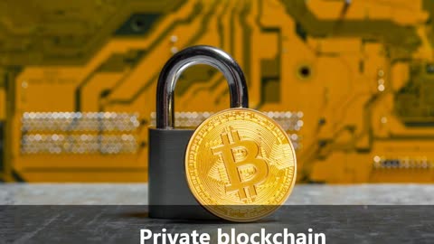 What is Private Blockchains