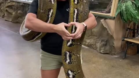 Big Cute Snake 🥰 🐍