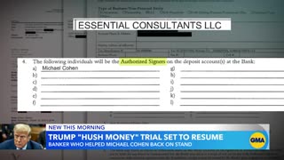 Banker who helped Michael Cohen to take stand in Trump hush money