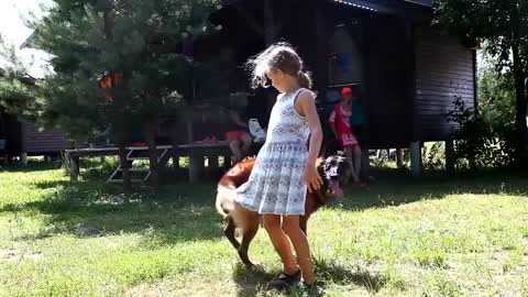 Well-trained dog dances with little girl