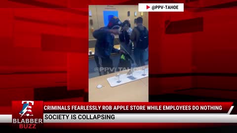 Criminals Fearlessly Rob Apple Store While Employees Do NOTHING