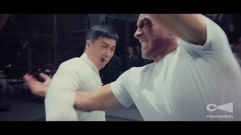 Ip Man 4