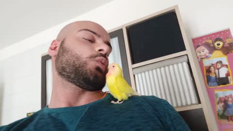 Cute Parrot Kissing me