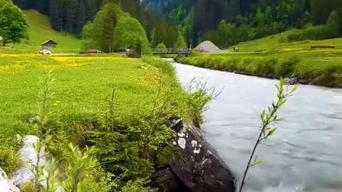 Beautiful amazing place #viral #video #travel #beautiful #please #trendingy #usa