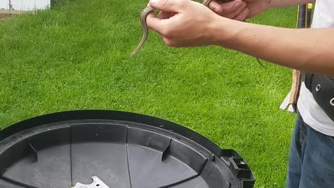 First snake ever held