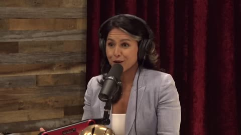 Joe Rogan And Tulsi Gabbard on the Response to the Maui Wildfires