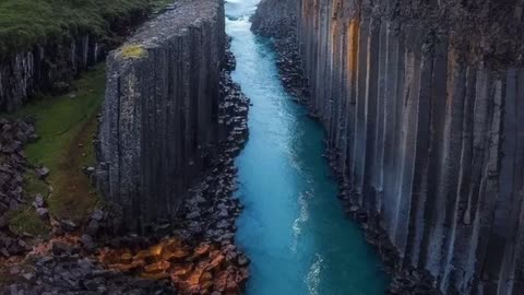 Gigantic Ancient Tree Stumps or Mining?