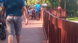 Popcorn cleaner at Busch Gardens, Tampa