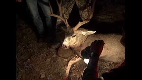 Camera Dies on Huge Mule Deer Hunt