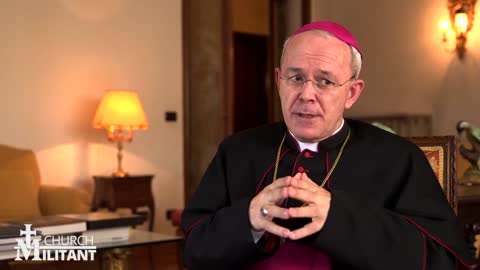 Bishop Athanasius Schneider—The Effects of Catholic Contraception (7 of 13)