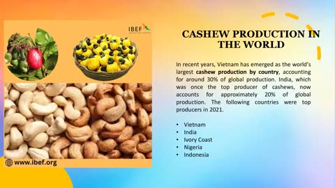 A Comprehensive Guide to Cashew Cultivation in India