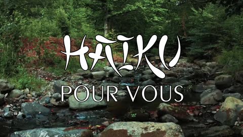 HAIKU POUR VOUS