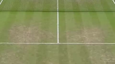 one of the funniest moment in tennis