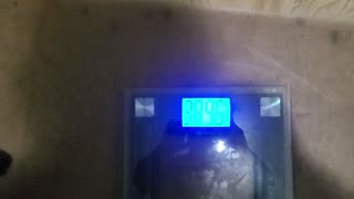 Weigh-In Dec 12, 2023