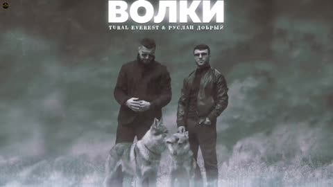 Руслан Добрый, Tural Everest - Волки 🐺 | Волки мы в ночных лесах