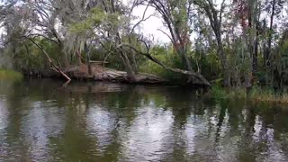 Airboat ride in Florida!!