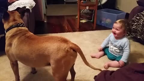 Baby girl and her loving labrador retriever