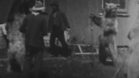Bear Tricks (1899 Original Black & White Film)