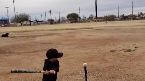 ⚾ Funny | When Dogs Play Baseball | FunFM
