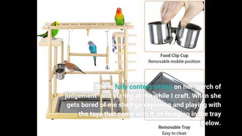 Ibnotuiy Pet Parrot Playstand Parrots Bird Playground Bird-Overview