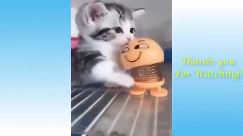 Funniest Dogs And Cats Videos 😁 Best Funny Animal Videos 2023 🥰