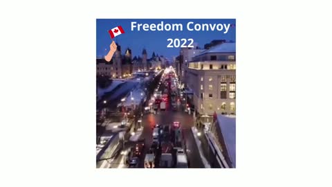 Beautiful representation of the Freedom Convoy 2022