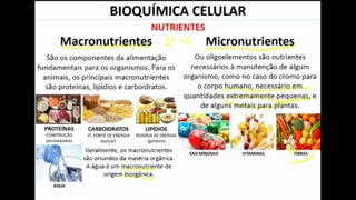 Citologia: Bioquímica Celular --> Introdução - MinhaEscolaWeb