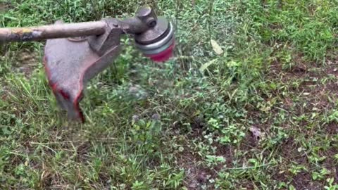 Chainsaw Blade on a Weed Whacker