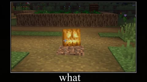 Wait What Minecraft Memes #2