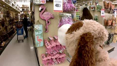 Butch the Dog goes to Hobby Lobby!