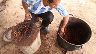 Making Ayahuasca