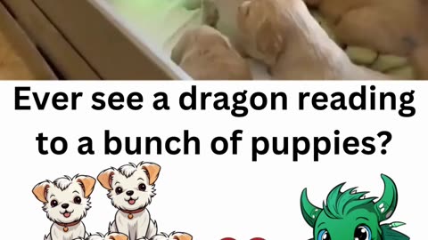 A dragon reading to puppies? 🥹🐶📖