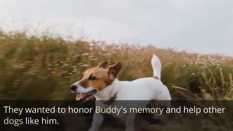 Funny story||A happy dog