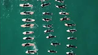 Sharks attack a group of surfers!! 😱 Part 1