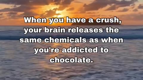 The Science of Crushes: Why Your Brain is Addicted to Your Crush 💕