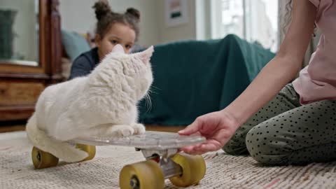 Kids Playing With Their Cat On A Skateboard