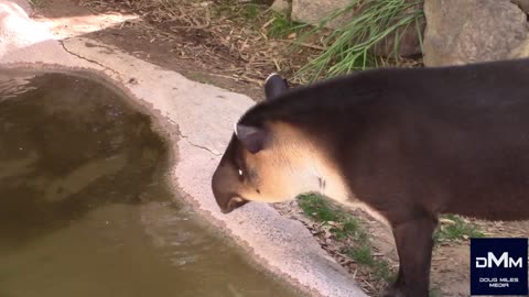 A TRIP TO THE ZOO IN TUCSON!