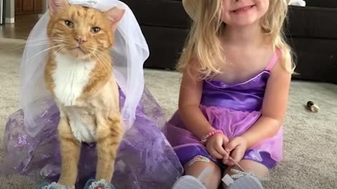 Senior Cat Loves These Little Girls More Than Anything - BAILEY | The Dodo