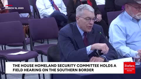 Mark Green Questions Witnesses About State Of Border Under Biden