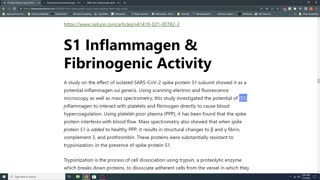 Part 1: Spike Protein Sui Pathogenesis - S1-Spike Protein Causes PASC, Cytokine Storm, & Long