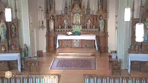 Holy Mass for Thursday Aug. 12, 2021