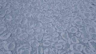 Ice Cells On Northern Lake Michigan Shoreline