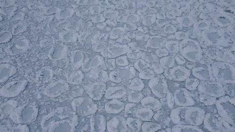 Ice Cells On Northern Lake Michigan Shoreline