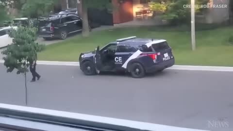 WATCH: Wild turkey faces off against Canadian police officer