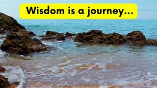 Wisdom is a journey #PositiveThoughts #MotivateYourself #Empowerment