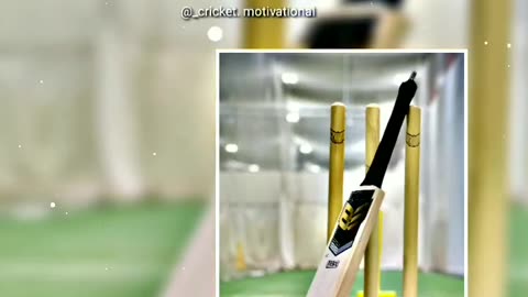 Cricket lover