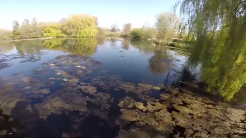 Pike fishing in Weedy Lakes-6