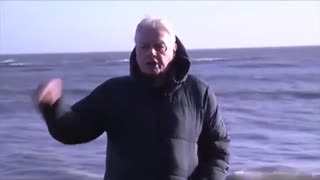 David Icke - Speech for Prague Freedom Rally January 2023.